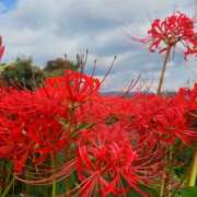 ヒメ日記 2025/10/02 14:35 投稿 堀 ちえみ 熟女・人妻マダム宮殿