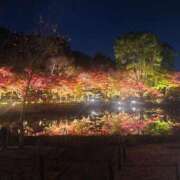 堀 ちえみ 事前ご予約 熟女・人妻マダム宮殿