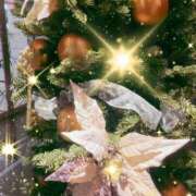 ヒメ日記 2025/12/24 19:05 投稿 堀 ちえみ 熟女・人妻マダム宮殿