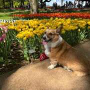 ヒメ日記 2025/05/14 14:39 投稿 アスナ ドMなバニーちゃん大宮店