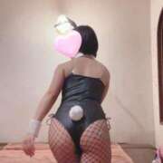 ヒメ日記 2025/06/26 11:14 投稿 アスナ ドMなバニーちゃん大宮店