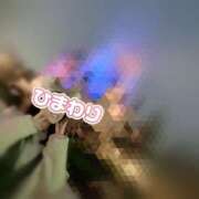 ヒメ日記 2025/01/18 13:29 投稿 ひまわり アネックスジャパン