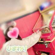 ヒメ日記 2025/01/20 08:09 投稿 ひまわり アネックスジャパン