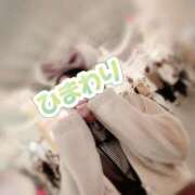 ヒメ日記 2025/01/20 17:09 投稿 ひまわり アネックスジャパン