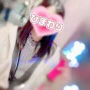 ヒメ日記 2025/01/25 10:55 投稿 ひまわり アネックスジャパン