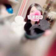 ヒメ日記 2025/01/25 17:05 投稿 ひまわり アネックスジャパン