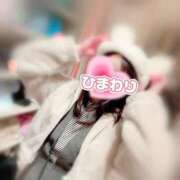 ヒメ日記 2025/01/25 18:39 投稿 ひまわり アネックスジャパン