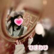 ヒメ日記 2025/01/26 10:39 投稿 ひまわり アネックスジャパン