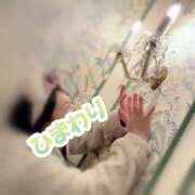 ヒメ日記 2025/01/26 11:39 投稿 ひまわり アネックスジャパン