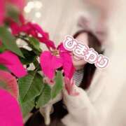 ヒメ日記 2025/01/26 16:29 投稿 ひまわり アネックスジャパン