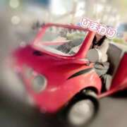 ヒメ日記 2025/01/27 13:59 投稿 ひまわり アネックスジャパン