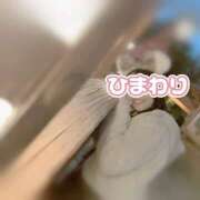 ヒメ日記 2025/02/19 22:59 投稿 ひまわり アネックスジャパン