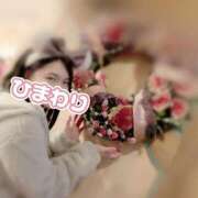 ヒメ日記 2025/02/20 14:59 投稿 ひまわり アネックスジャパン