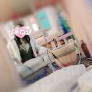 ヒメ日記 2025/02/20 19:49 投稿 ひまわり アネックスジャパン