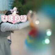 ヒメ日記 2025/02/20 23:13 投稿 ひまわり アネックスジャパン