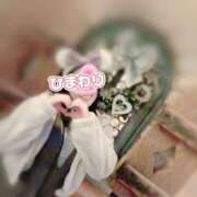 ヒメ日記 2025/02/21 15:20 投稿 ひまわり アネックスジャパン