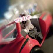 ヒメ日記 2025/02/24 13:29 投稿 ひまわり アネックスジャパン