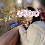 ヒメ日記 2025/02/25 13:09 投稿 ひまわり アネックスジャパン