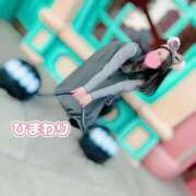 ヒメ日記 2025/04/23 09:39 投稿 ひまわり アネックスジャパン