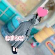 ヒメ日記 2025/04/24 17:39 投稿 ひまわり アネックスジャパン