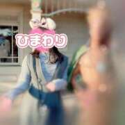 ヒメ日記 2025/04/26 20:20 投稿 ひまわり アネックスジャパン