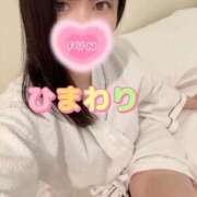 ヒメ日記 2025/11/05 23:39 投稿 ひまわり アネックスジャパン