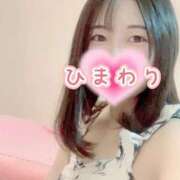 ひまわり ♡♡一説あるよ･･･♡♡ アネックスジャパン