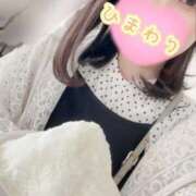 ひまわり ♡♡日本ですか･･･？♡♡ アネックスジャパン