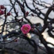 わか 1/21:お知らせ📢 敏感！逆エステ錦糸町