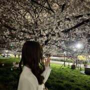 りりあ 🌸 錦糸町ミセスアロマ（ユメオト）