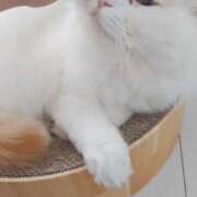 ヒメ日記 2024/12/09 13:46 投稿 リタ すごいエステ 名古屋店