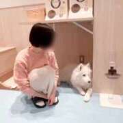 ヒメ日記 2025/11/01 09:15 投稿 リタ すごいエステ 名古屋店