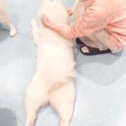 ヒメ日記 2025/11/05 12:27 投稿 リタ すごいエステ 名古屋店