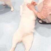 ヒメ日記 2026/03/29 09:34 投稿 リタ すごいエステ 名古屋店