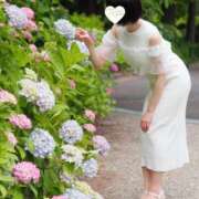 ヒメ日記 2026/07/24 17:54 投稿 リタ すごいエステ 名古屋店