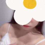 ヒメ日記 2026/04/03 15:34 投稿 長岡-ながおか MSC 妄想紳士倶楽部 鶯谷店