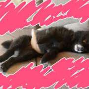 ヒメ日記 2025/06/25 11:17 投稿 りりか モアグループ川越人妻花壇