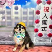 ヒメ日記 2025/03/19 18:03 投稿 りぼん 妻天 京橋店