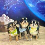 ヒメ日記 2025/04/28 00:43 投稿 りぼん 妻天 京橋店