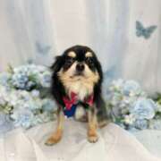 ヒメ日記 2025/06/16 23:42 投稿 りぼん 妻天 京橋店