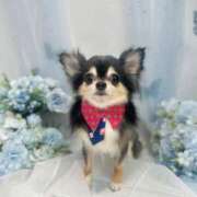 ヒメ日記 2025/07/21 03:21 投稿 りぼん 妻天 京橋店