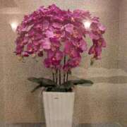 ヒメ日記 2025/09/19 02:38 投稿 りぼん 妻天 京橋店