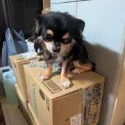 ヒメ日記 2025/10/19 02:35 投稿 りぼん 妻天 京橋店