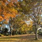 ヒメ日記 2024/12/18 12:18 投稿 ひめか 長野権堂更埴ちゃんこ