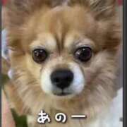 ヒメ日記 2025/03/06 23:56 投稿 しの 熟女の風俗アウトレット大垣安八羽島店