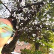 ヒメ日記 2025/04/01 15:27 投稿 司-つかさ 熟女10000円デリヘル 川崎