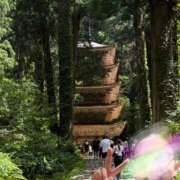 ヒメ日記 2025/08/29 11:20 投稿 司-つかさ 熟女10000円デリヘル 川崎