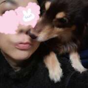 ヒメ日記 2025/10/28 12:00 投稿 司-つかさ 熟女10000円デリヘル 川崎