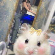 ヒメ日記 2025/07/02 23:26 投稿 ぷりん クラブバレンタイン神戸西店