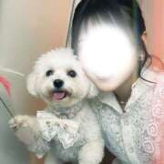 ヒメ日記 2026/02/21 17:46 投稿 ぷりん クラブバレンタイン神戸西店